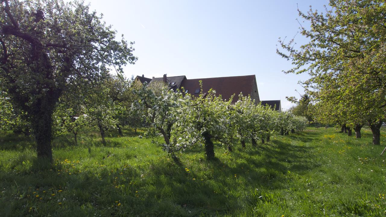 Zum Schwanen Garni 호텔 Buggingen 외부 사진